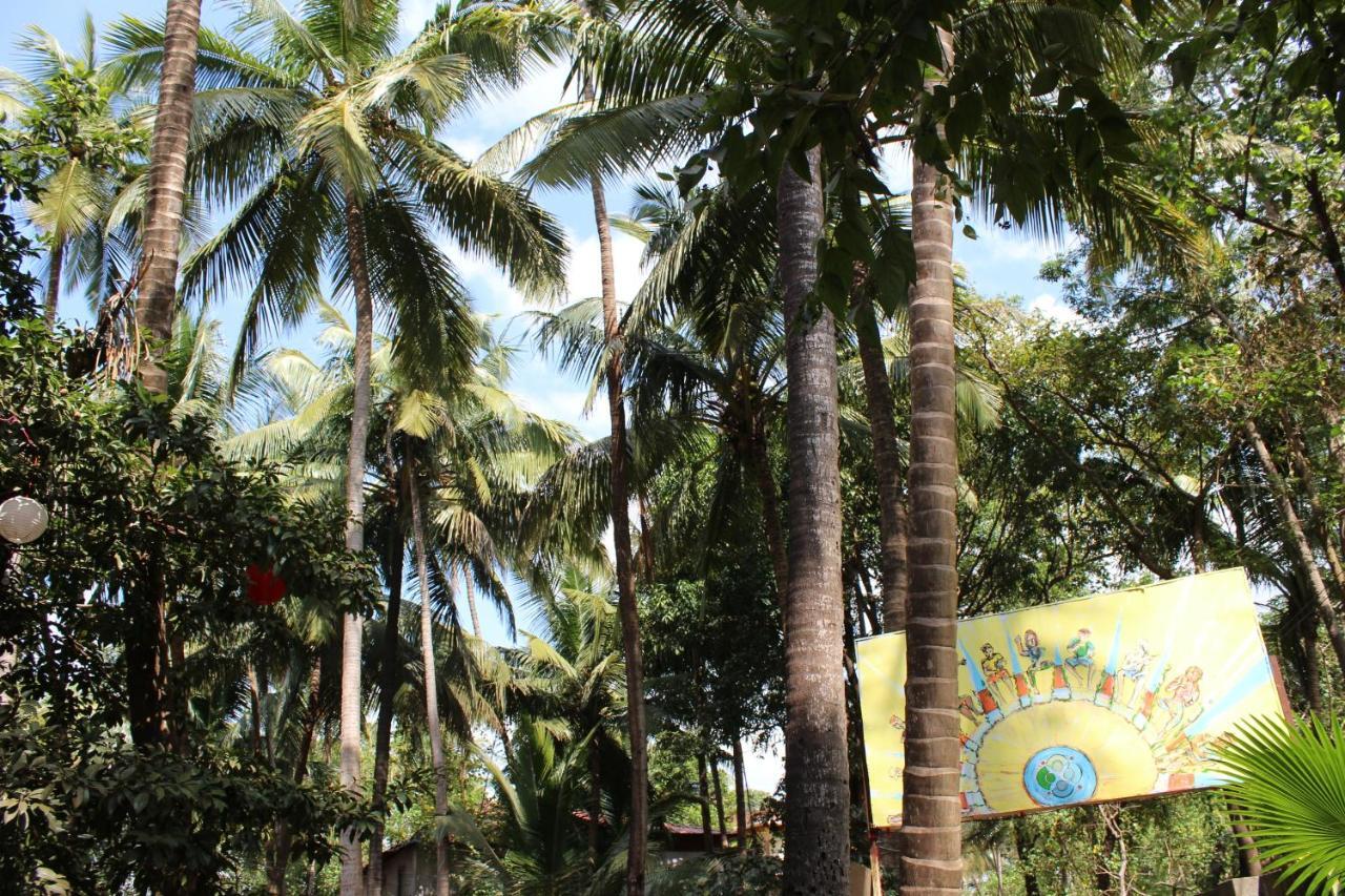 The Peace - Arambol, Goa Hostel Arambol